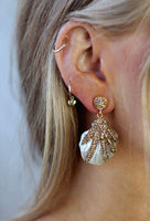 Oyster Shell Earrings